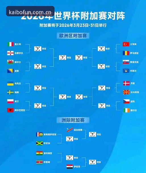 开博体育APP使用攻略 2026世界杯观赛困境深度分析:签证危机如何影响全球球迷的赴美之旅